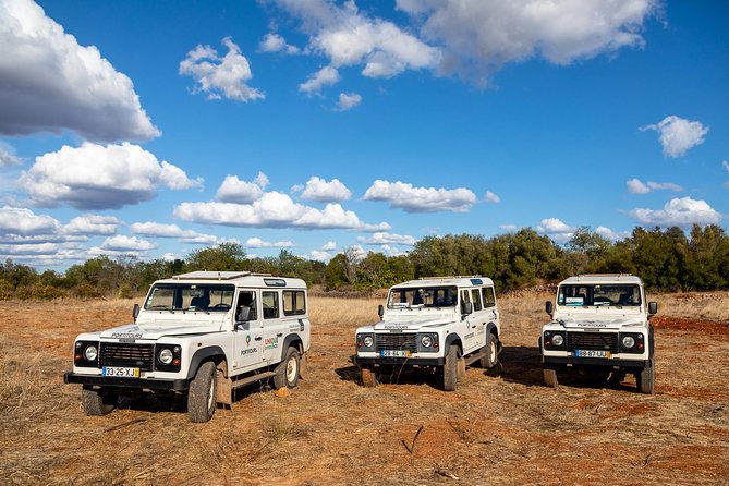 Super Day- Jeep Tour Arade River Cruise - Last Words