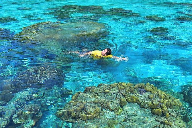 Surin Islands Snorkeling Day Trip By Love Andaman From Khao Lak - Snorkeling Equipment and Guide