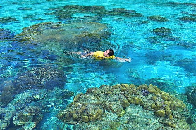 Surin Islands Snorkeling Day Trip By Love Andaman From Phuket - Special Offers and Pricing