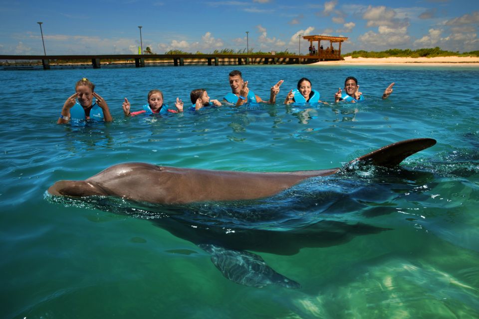 Swim With Dolphins Ride - Playa Mujeres - Activity Overview