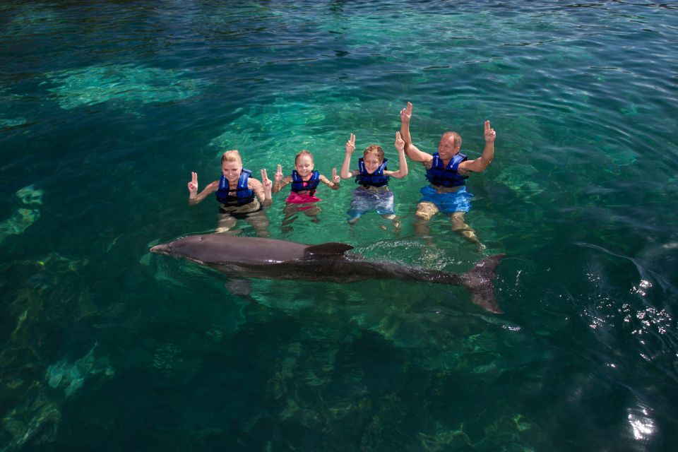 Swim With Dolphins - Supreme - Puerto Morelos - Group Size and Hosts