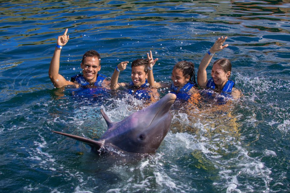 Swim With Dolphins Supreme - Riviera Maya - Booking Information