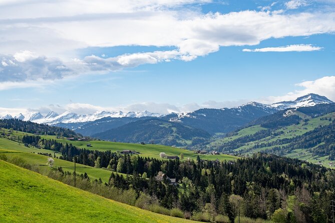Swiss Cheese, Chocolates and Mountains Small-Group Tour From Zurich - Tour Experiences