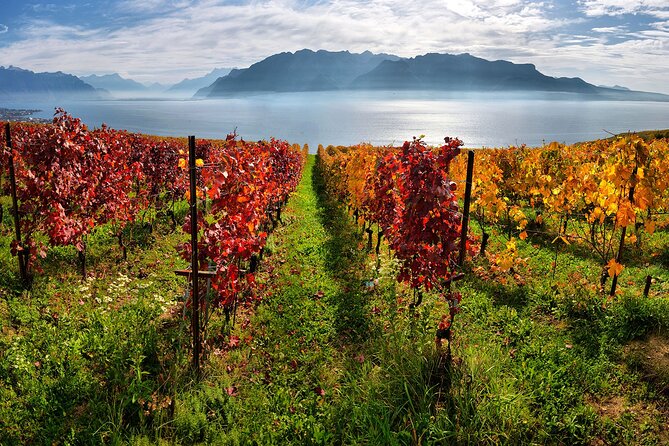 Swiss Wine Tasting at Lavaux Vineyards: Private Trip From Geneva - Last Words