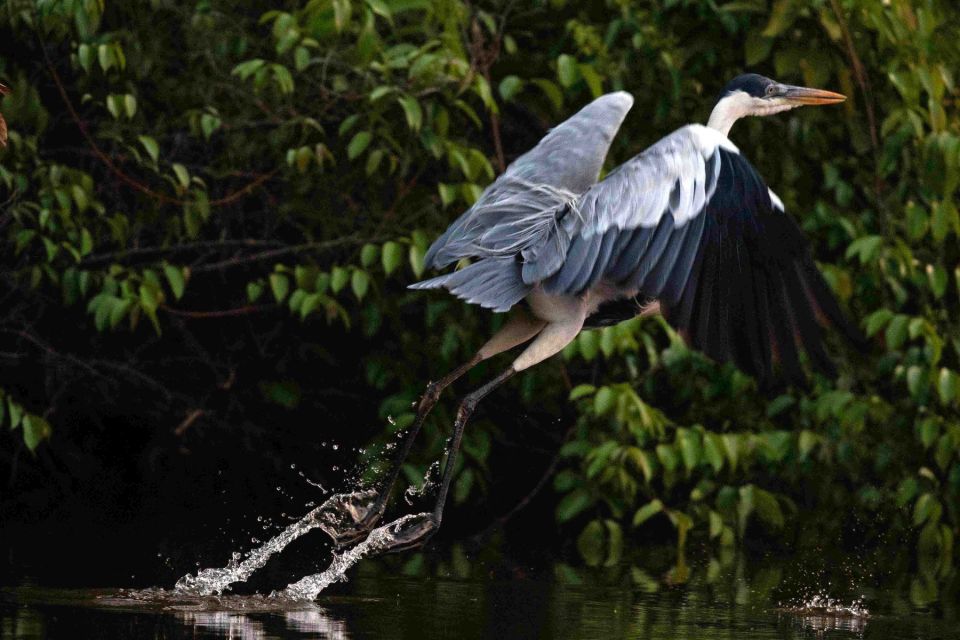 Tambopata: Lake Sandoval Canoeing With Lunch - Common questions