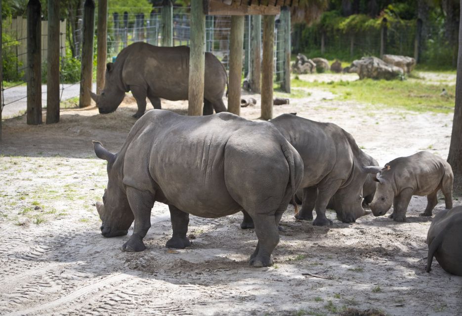 Tampa: ZooTampa at Lowry Park Entry Ticket - Conservation Efforts