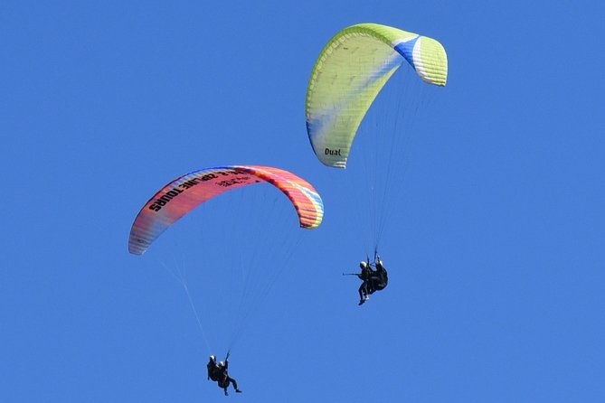 Tandem Paragliding Flights From Vik - Last Words