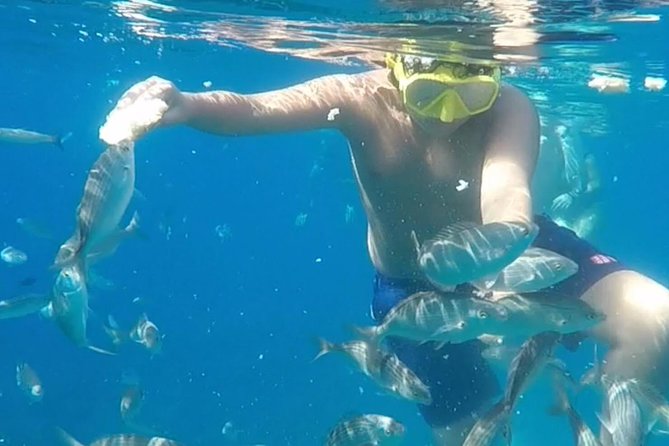 Taormina Snorkeling Experience - Last Words