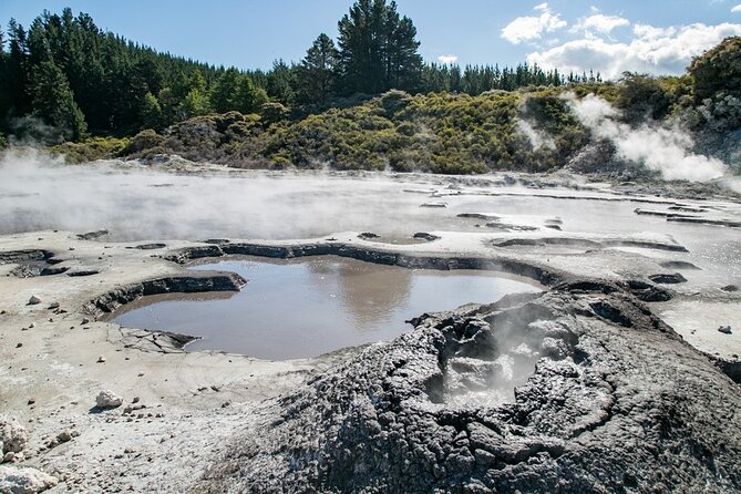 Tauranga Tour - Rotorua Hells Gate Geothermal Park & Mud Spa - Operational Guidelines