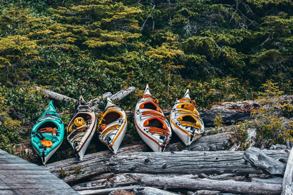 Telegraph Cove: 2 Hour Family Fun Kayaking Tour - Common questions