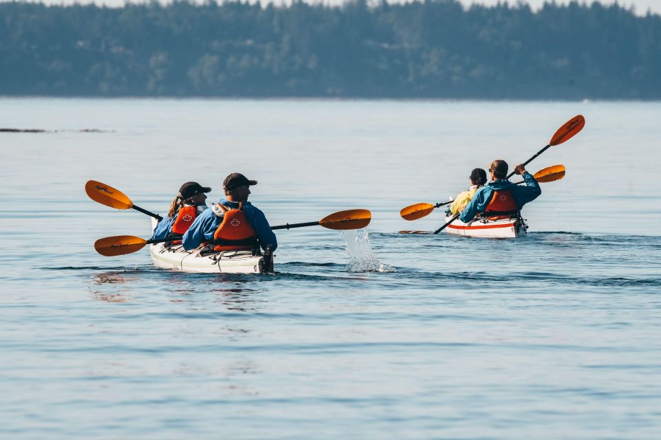 Telegraph Cove: Day Trip Kayaking Tour - Common questions