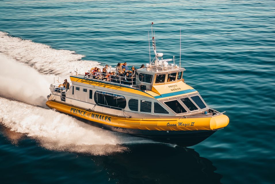 Telegraph Cove: Half-Day Whale Watching Tour - Cancellation Policy