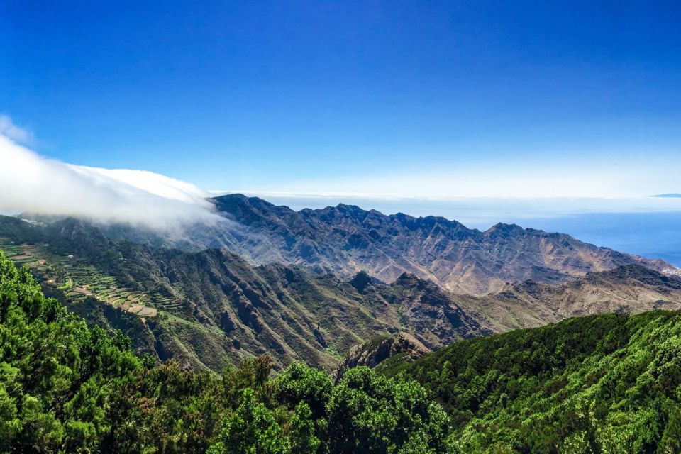 Tenerife: Anaga Rural Park Private Tour - UNESCO World Heritage City Visit