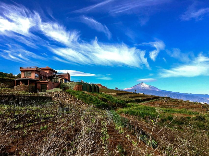 Tenerife Private Tour: Mount Teide Nature and Wine - Live Tour Guides