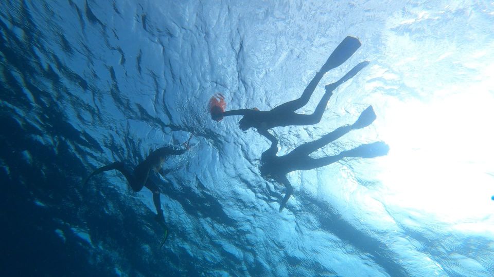 Tenerife: Snorkeling Tour in a Marine Protected Area - Directions