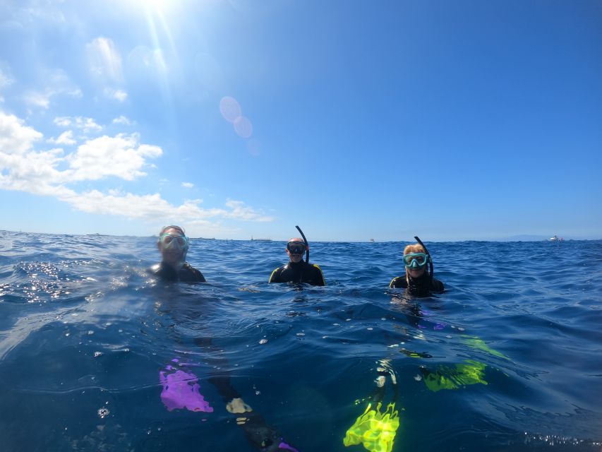Tenerife: Snorkeling Trip in a Turtle Habitat - Common questions