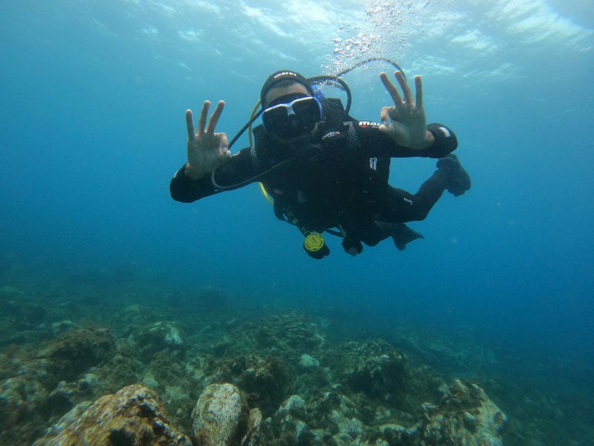 Terceira: Angra Do Heroísmo Scuba Diving Tour With 2 Dives - Last Words