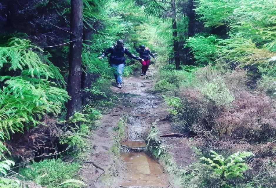 Terceira Island : Mistérios Negros Hiking Trail - Tips for Hiking