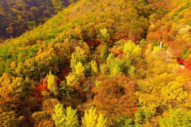 The Beauty of the Korea Fall Foliage Discover 9days 8nights - Common questions