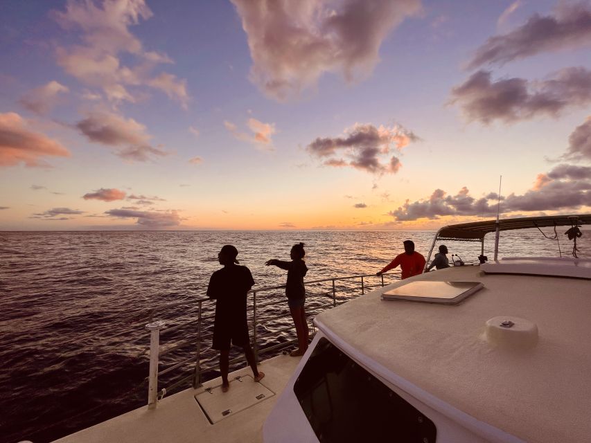 The BEST Oahu Tours and Things to Do - Enchanting Glass Bottom Boat Sunset Cruise