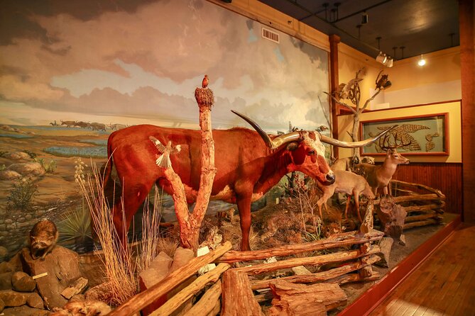 The Buckhorn Saloon & Museum and Texas Ranger Museum Admission - Visitor Information