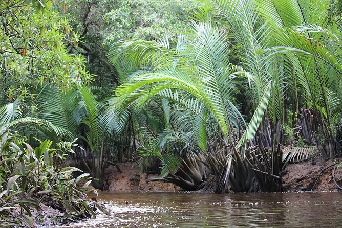 The Little Amazon and Sri Phang Nga Waterfall Full Day Tour From Khao Lak - Common questions