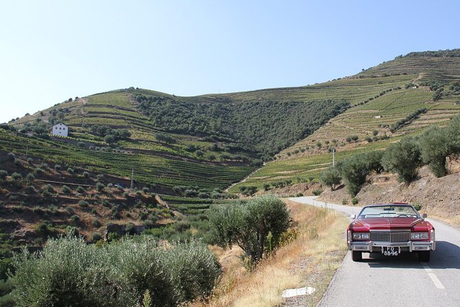 The Luxury Douro Tour - Common questions