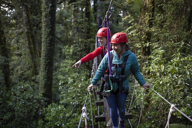 The Original Canopy Zipline Experience Private Tour From Auckland - Customer Reviews