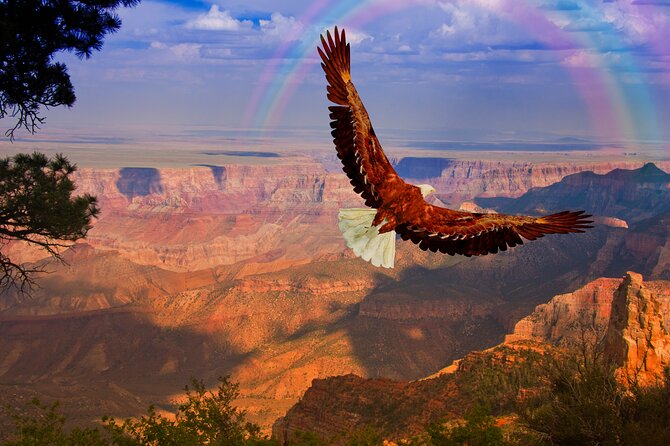 The Perfect Grand Canyon Tour With Local Expert Guides - Additional Information and Assistance
