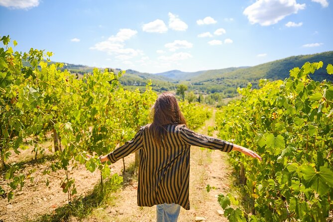 The Town of Fine Towers: San Gimignano and Its Vernaccia Wine - Guided Tours and Winery Visits