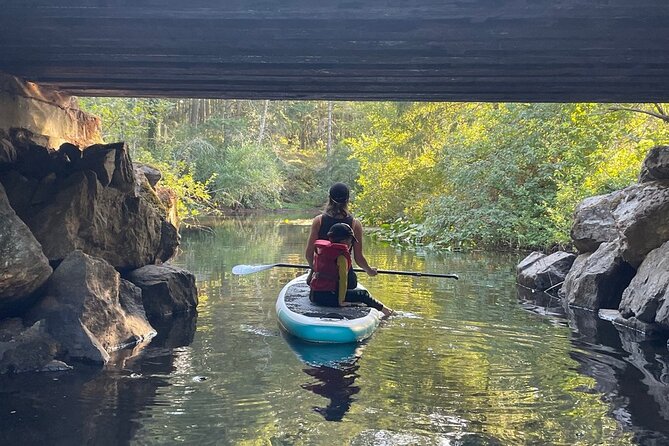 Thetis Lake Stand Up Paddle Boarding - Planning Your Thetis Lake Adventure