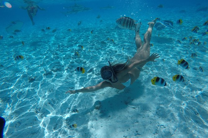 Toa Boat Bora Bora Private Lagoon Tour on Ambassador Boat - Common questions