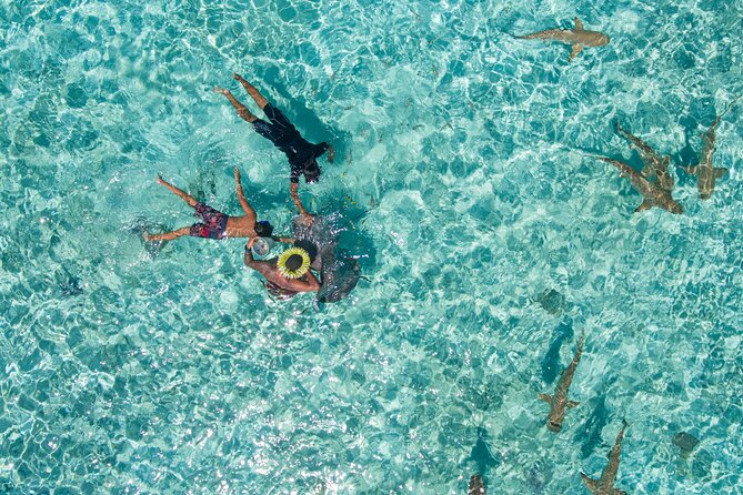 Toa Boat Bora Bora Private Lagoon Tour on Majestic Pontoon Boat - Last Words