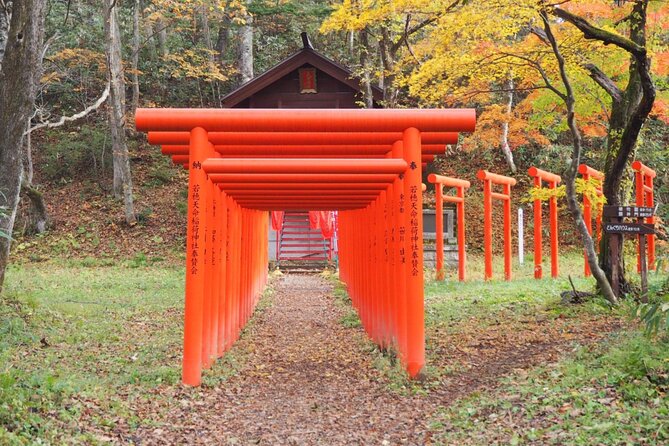 Togakushi Shrine Hiking Trails Tour in Nagano - Tips for a Memorable Hiking Experience