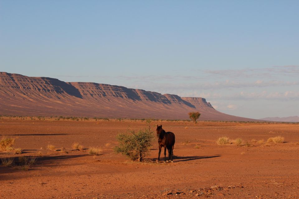 Touareg Desert Horseback Riding in Morocco - Itinerary Overview