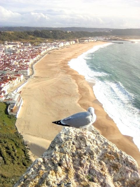 Tour Fátima, Batalha, Nazaré, and Óbidos - Tour Itinerary and Additional Information