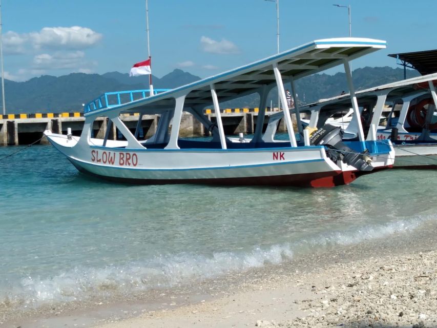 Tour Gili Islands : Private Snorkeling Trip 4 Hours - Special Offers
