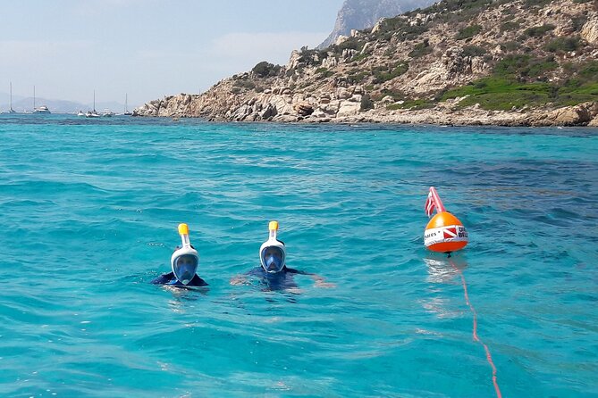 Tour in Rubber Dinghy and Snorkeling in the Protected Marine Area of Tavolara - Common questions