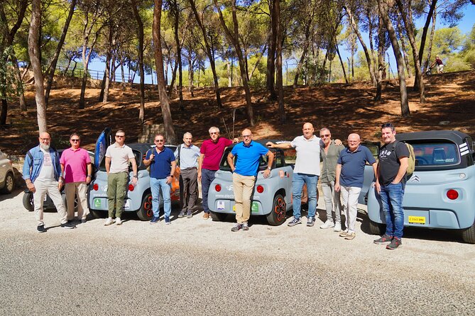 Tour Malaga Premium by Electric Car - Pricing and Availability