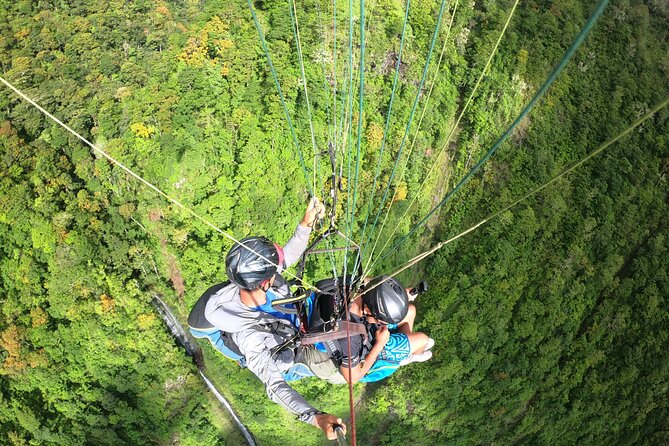 Tour of the Island and Peninsula WITH Paragliding and Taxi Boat (Teahupoo) - Last Words