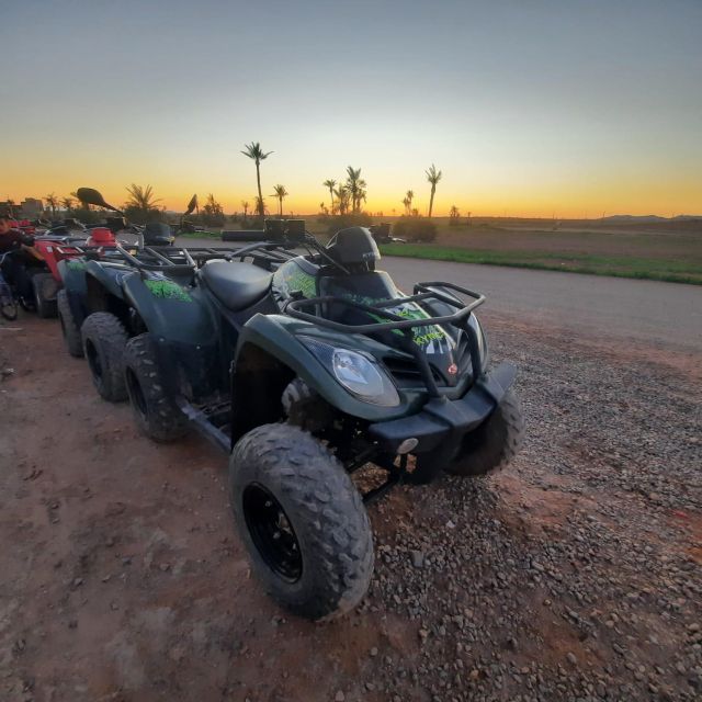 Tour Quad Bike in Marrakech Palm - Reviews and Availability