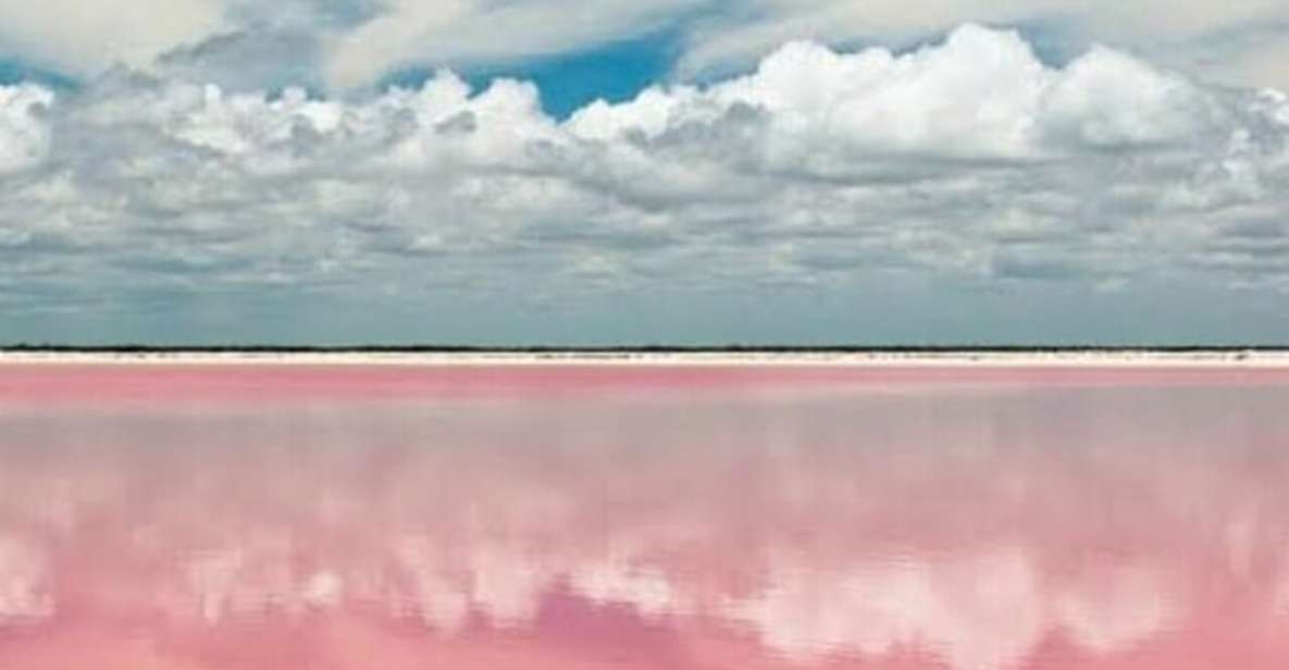 Tour to Las Coloradas and Rio Lagartos From Merida - Customer Reviews