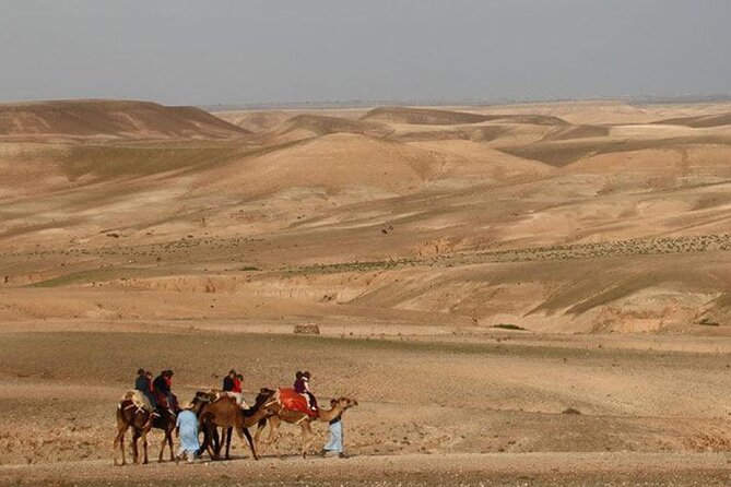 Traditional Dinner In Agafay Desert And Camel Ride - Photo Gallery