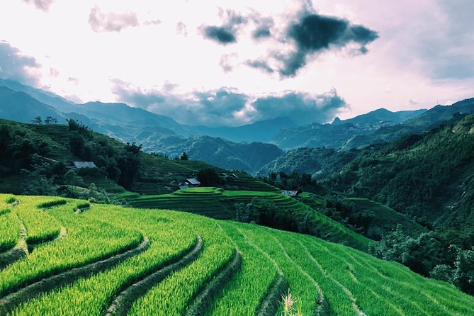 Trekking Sapa 1 Day - the Best Terraced Rice Field - Copyright Notice and Booking Procedures