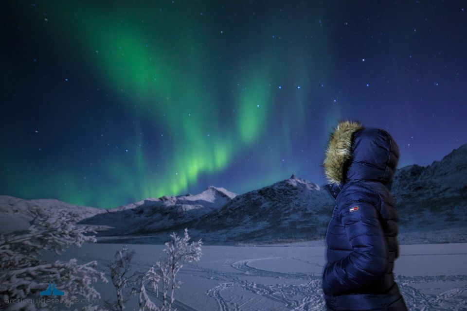 Tromsø: Northern Lights Guided Bus Tour - Overall Experience Feedback