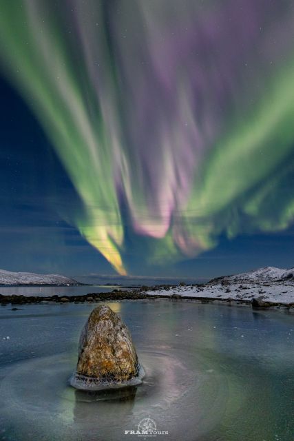Tromso: Northern Lights Hunting & Photography Expedition - Availability and Logistics