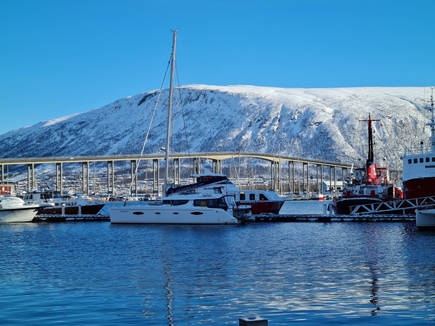 Tromso: Sightseeing Cruise by Catamaran With Snacks & Drinks - Pricing and Cancellation