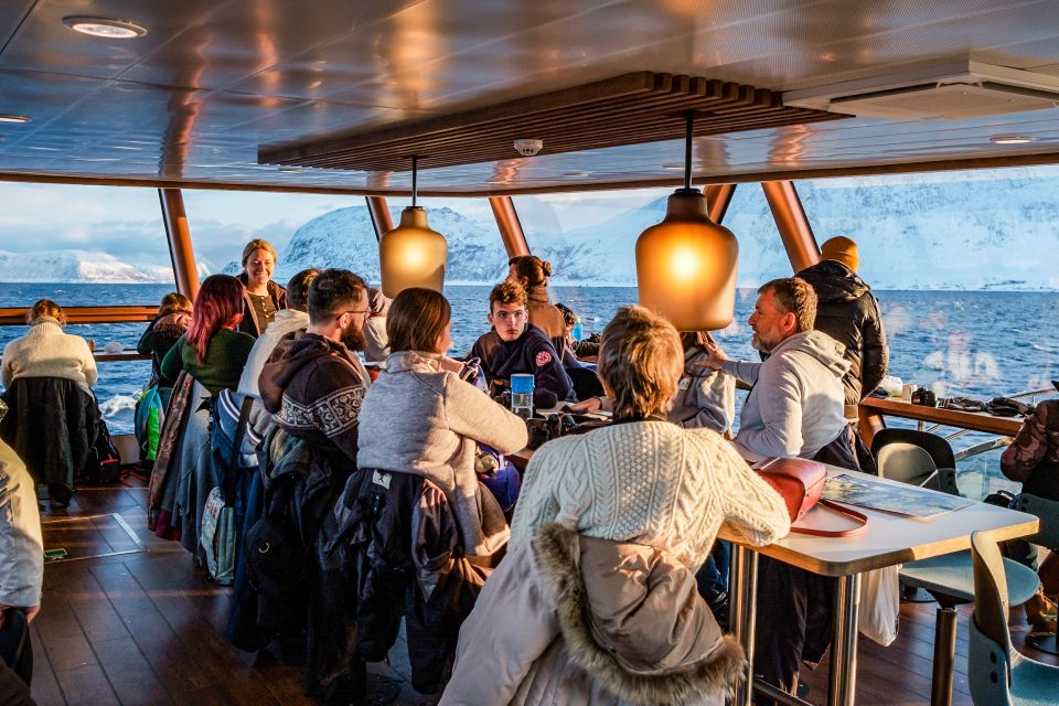 Tromsø: Whale Watching Tour by Hybrid-Electric Catamaran - Customer Testimonials