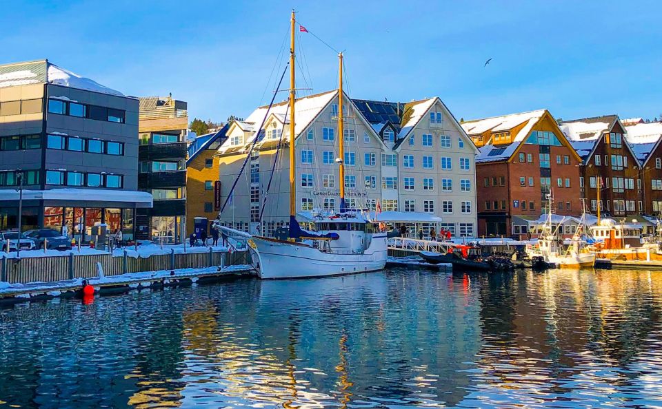 Tromsø:Arctic Fishing & Seafood Fjord Cruise On Luxury Yacht