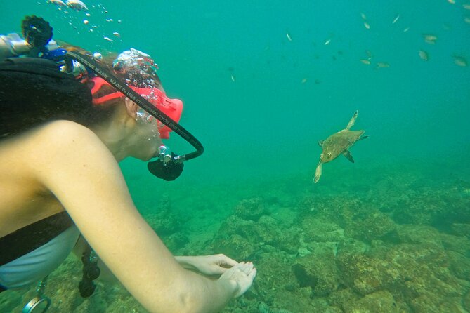 Try Scuba Diving & Snorkeling With BBQ Lunch in Fujairah - Common questions
